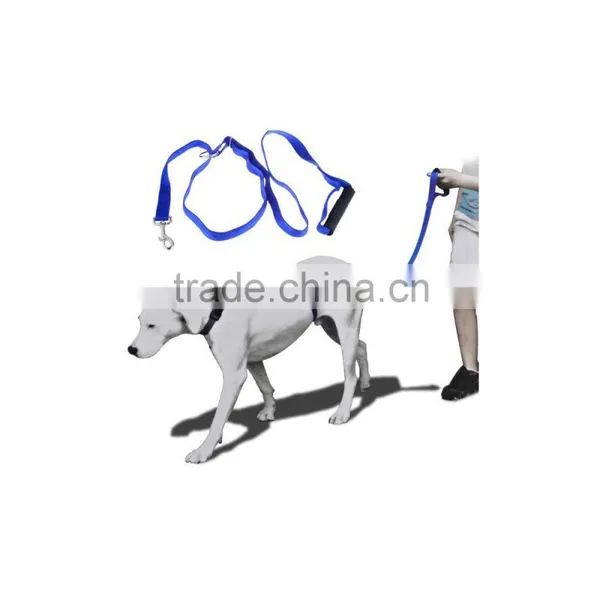 Dog Leash photo-3