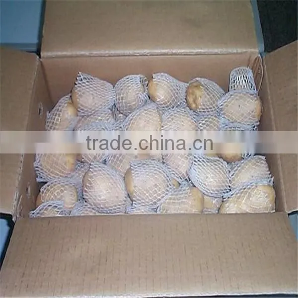 New Crop Fresh Shandong Potato for Sale photo-6