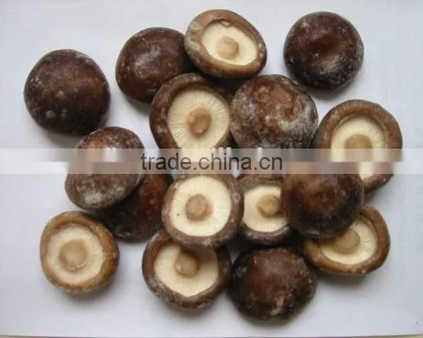 Competitive Price Chinese Frozen Mushroom Wholesale