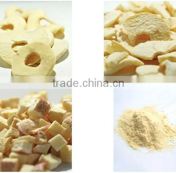 Dried Fruit Chips Dices Powder Frozen Dried Apple
