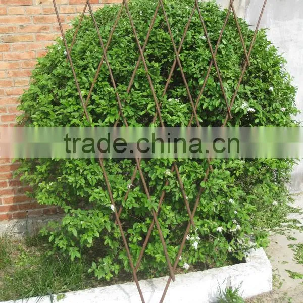 Garden Trellis
