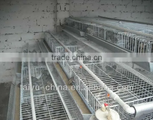 High Quality Quail Cage photo-2