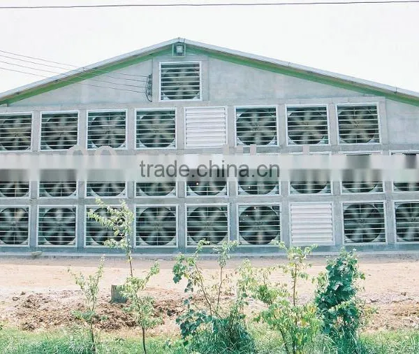 Poultry Exhaust Fan