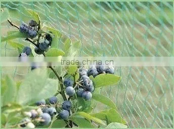 PEA AND BEAN NETTING photo-3