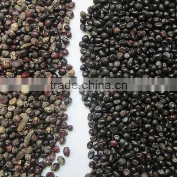 High Quality Seeds Color Sorter With CE/SONCAP Certification photo-2