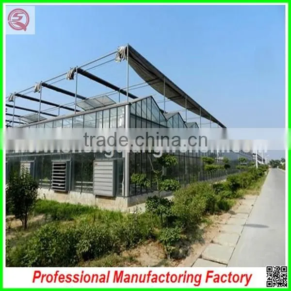 Multi-span Venlo Glass Greenhouse With Drip Irrigation photo-2