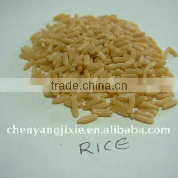 Instant Rice Nutritional Rice Food Processing Line Sherry Bian 0086-15553158922 photo-4