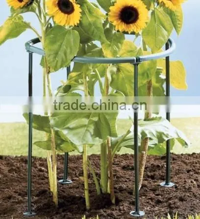 Plants Support 8pc/set,2015 Hot Selling photo-3