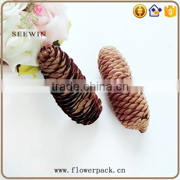 Pine Nuts Series of Natural Flowered Bark Engraving photo-3