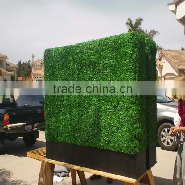 SJ0032693 China Artificial Plastic Grass Boxwood Hedge Fence for Outdoor UV Anti photo-4