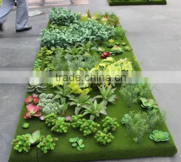Succulent Plants Green Wall Interior Decoration for Sale photo-3