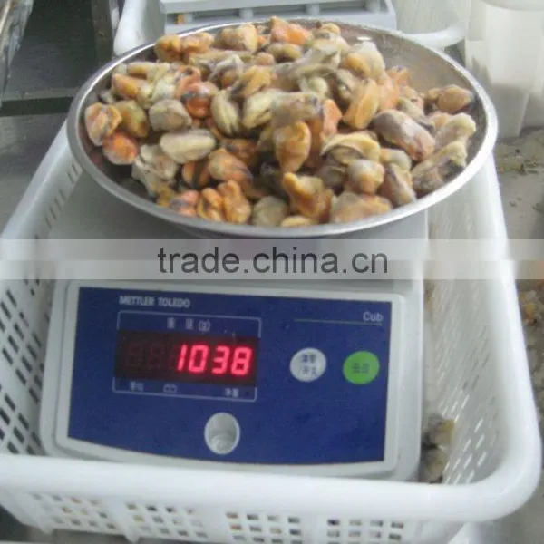 IQF Blue Mussel Meat