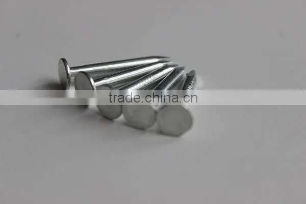 Factory Price Flat Head Clout Nails Zinc Coated Coil Roofing Nails photo-2