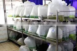 Ornamental Fish Farm and Export Company photo-4