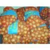 Professional Supplier of Onion