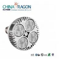 LED PAR30 35W Par Light Source Lamp photo-2