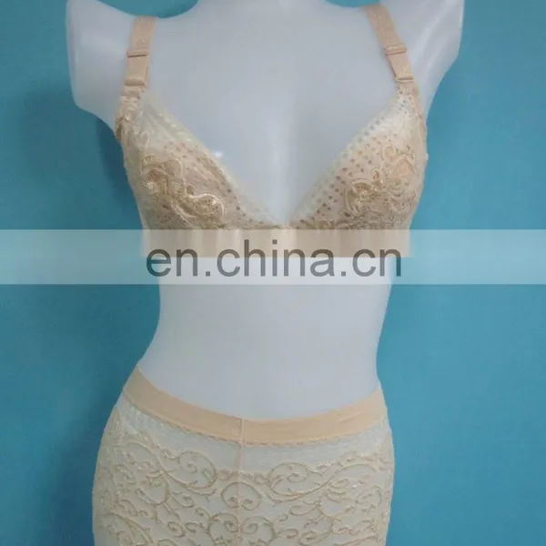 Sexy Women Underwear Bra and Lingerie (Miss Adola)