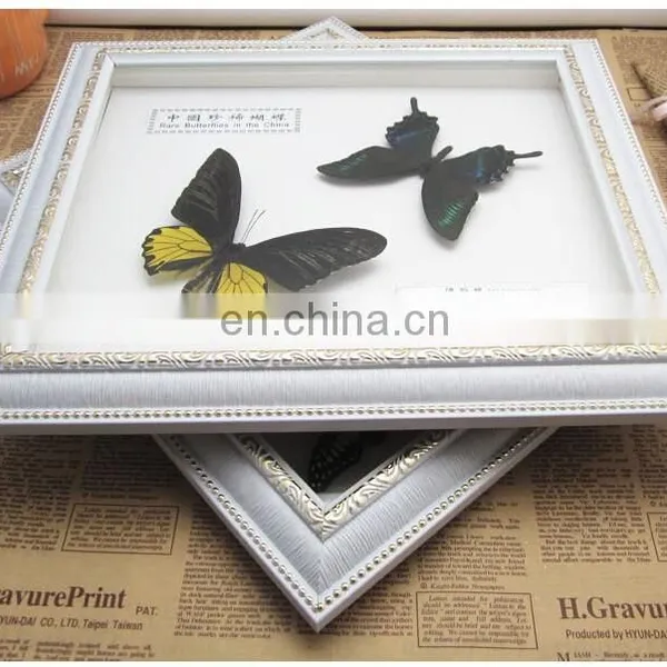 Dry Framed Butterfly Frame Wholesale LOW MOQ Good Quality photo-4