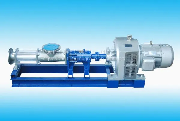 G Model Progressive Cavity Pump photo-4