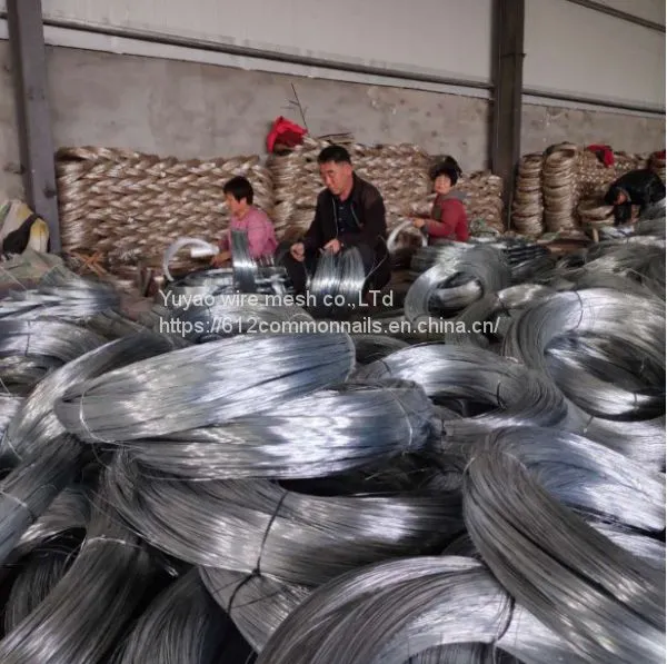 Best Seller Electro Galvanized Iron Wire photo-3