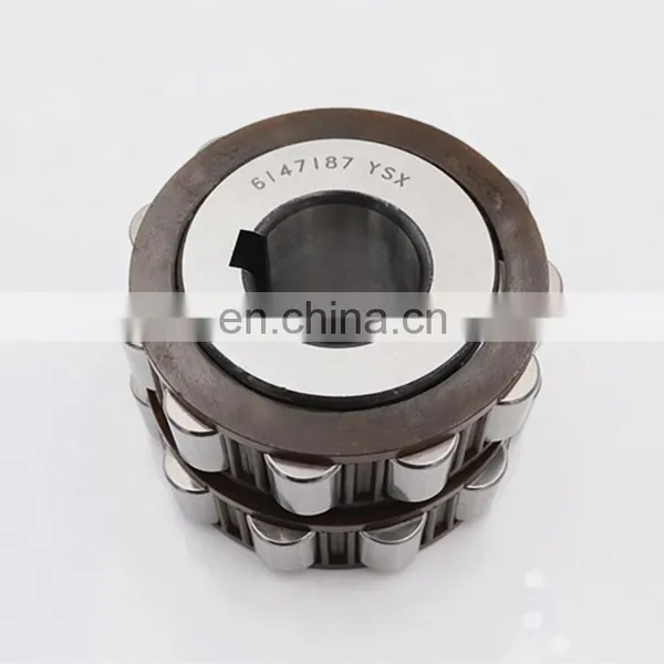 6127187 Ysx Eccentric Bearing Double Row Reducer Bearing photo-3