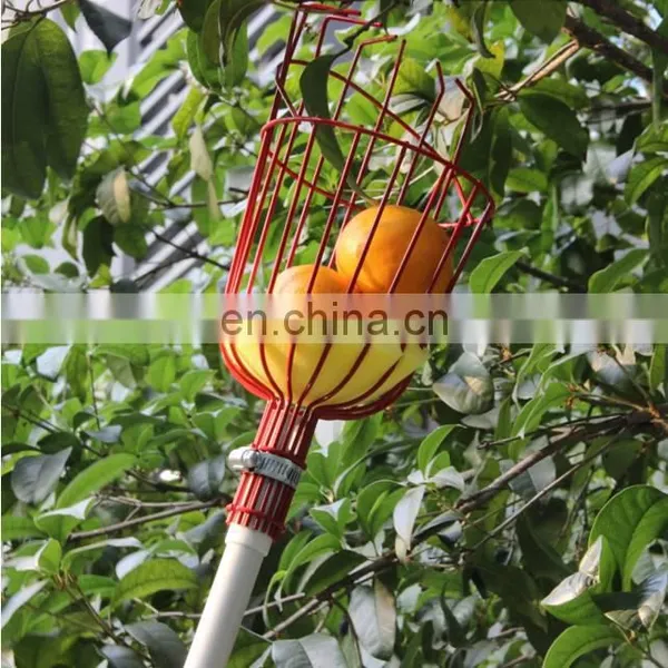 Best Selling 13 Foot Garden Tools Twist on Light Weight Adjustable Telescopic Fruit Picker With Basket and Pole photo-3