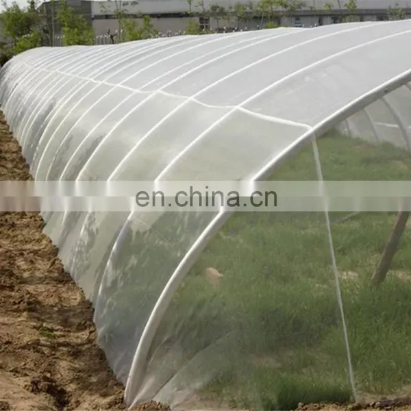 HDPE 40x25mesh Anti Insect Net for Agricultural Greenhouse photo-4
