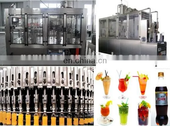Fruit Vegetable Belt Juice Processing Machine photo-3