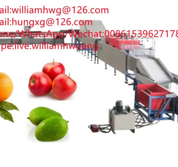Industrial Fruit Washing Drying Waxing Sorting Machine Fruit Cleaning And Sorting Machine