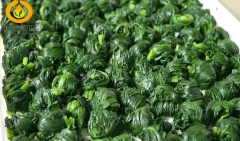 Frozen Chopped Spinach Ball With Top Quality photo-2