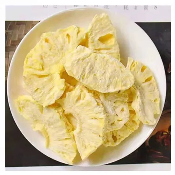 Shanghai FD Freeze Dried Plants Strawberry Powder High Quality Drying Equipment photo-6