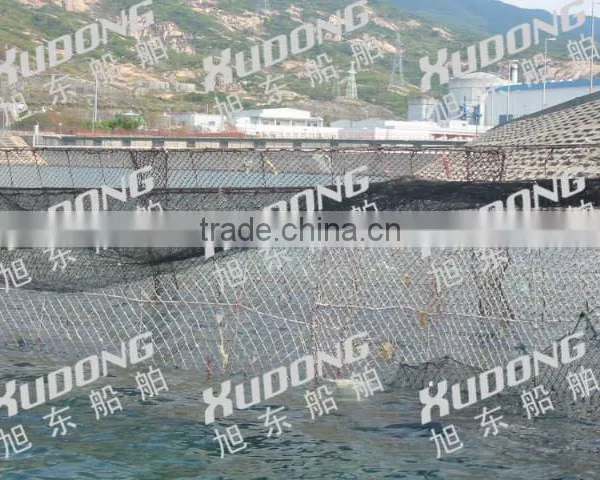 Pollution Prevented Fishing Net