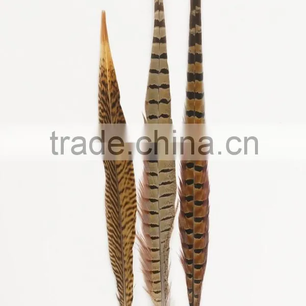 Carnival Decoration Pheasant Tail Feather, Colour Ostrich Feather Wholesale photo-2