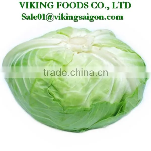 *Special _ Fresh Green Cabbage _ From Vietnam* photo-2