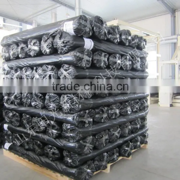 Hot Sale 2016 Polyester Geogrid photo-4