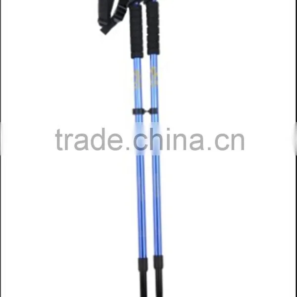 Walking Stick photo-2
