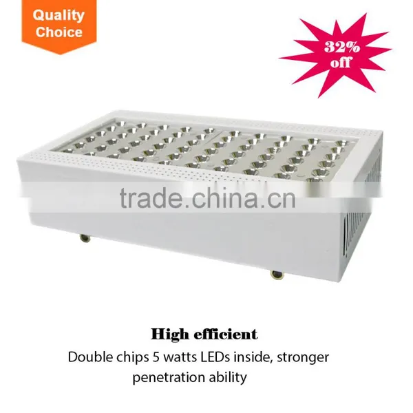 Shenzhen Two Switches With 5 w COB Chip X300 Led Grow Light photo-2