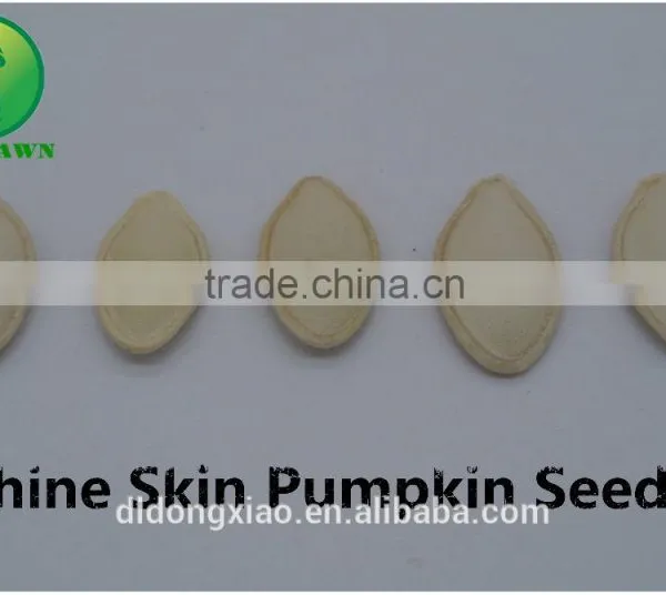 Shine Skin Pumpkin Seeds Squash Seeds Best Face Lotion Dry Skin photo-5