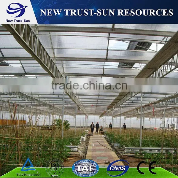 Polycarbonate/ PC Sheet Greenhouse With Hydroponic System