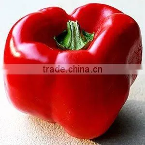 OLEORESIN PAPRIKA (Spice Oleoresin)