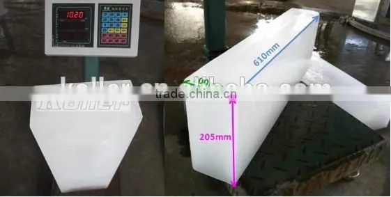 Block Ice Machine For Fishery Congo photo-3