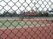 Pvc Coated Galvanized Welded Dog Fence photo-2