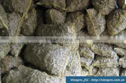 VIETNAM DRIED SLICE GINGER, BEST PRICE, HIGH QUALITY (+841657106604 - WHATSAPP) photo-3