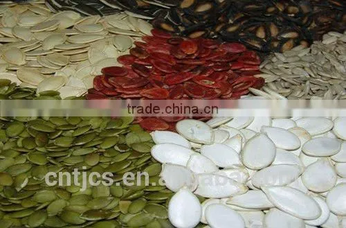 PUMPKIN SEEDS KERNEL FROM CHINA AA photo-4