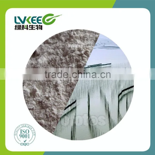 High Quatily Feed Grade Probiotics Lactobacillus Acidophilus