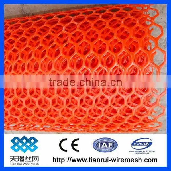 Plastic Plain Net /plastic Flat Net photo-6