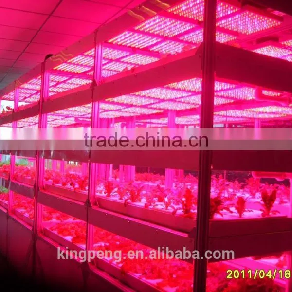 Quarantine Isolated Greenhouse for Scientific Research photo-3