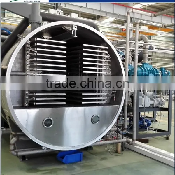 Fruits & Vegetables Lyophilization Machine photo-2