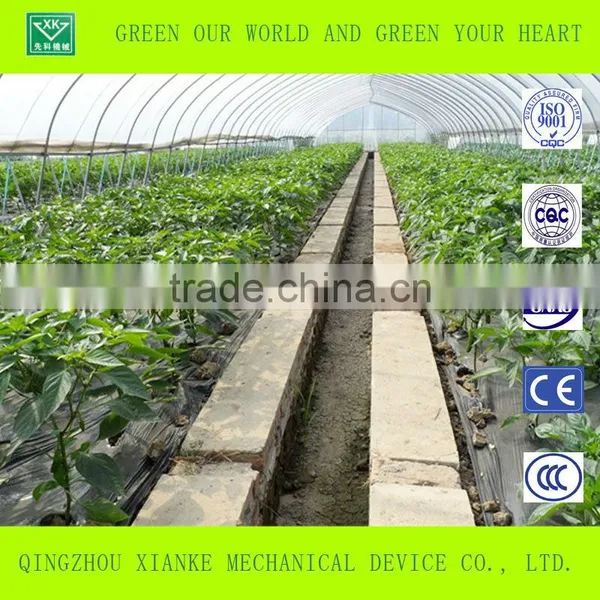 Advanced Agricultural Greenhouse for Vegetable photo-5