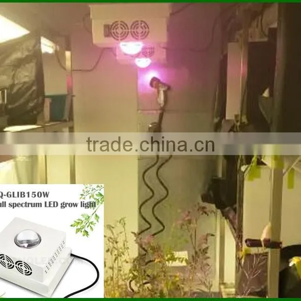 Hot Sell Cob Led Grow Bulbs150 w Indoor Grow Light Bulbs photo-6